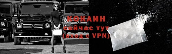 гашик Липки