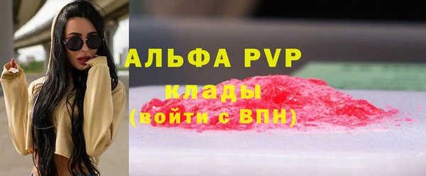 гашик Липки