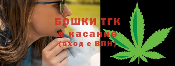 гашик Липки