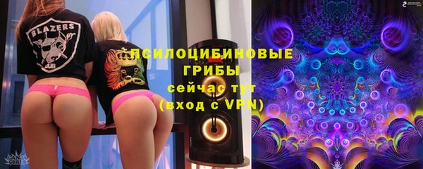 СК Лиски