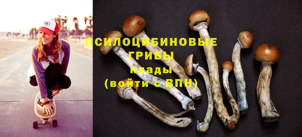 СК Лихославль