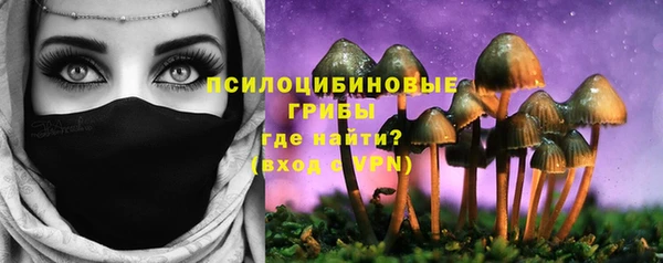 СК Лиски