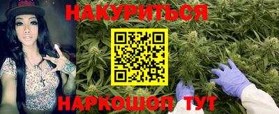 стафф Будённовск