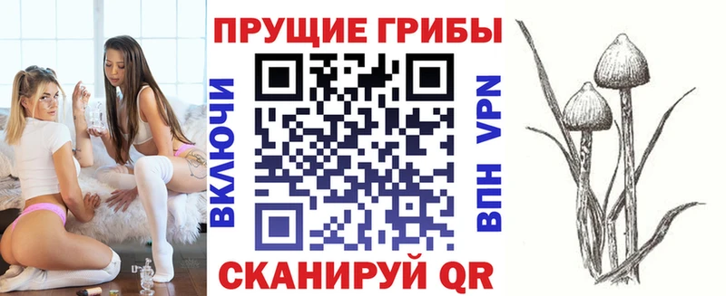 наркошоп  Шали  Псилоцибиновые грибы мицелий 