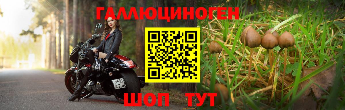 Шали  хочу наркоту  Вход с VPN  Галлюциногенные грибы Magic Shrooms  Галлюциногенные грибы Psilocybine cubensis 