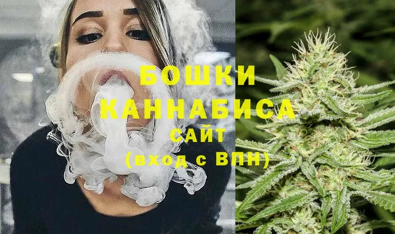 купить наркоту  Шали  Марихуана семена 