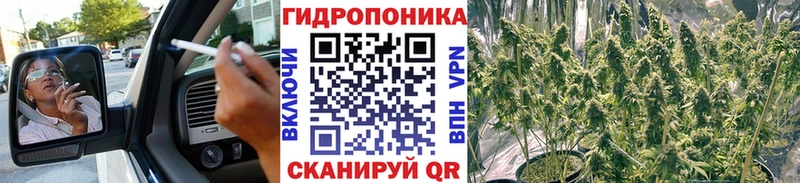 Каннабис SATIVA & INDICA  mega ССЫЛКА  Шали 